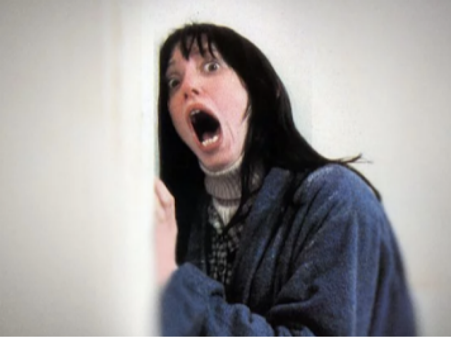 Imagem copia_680467663Shelley